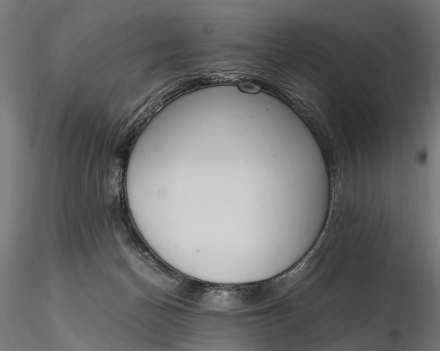 X0000116330174200912151313