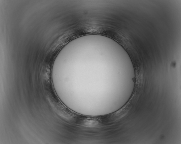 X0000116330175200912151313