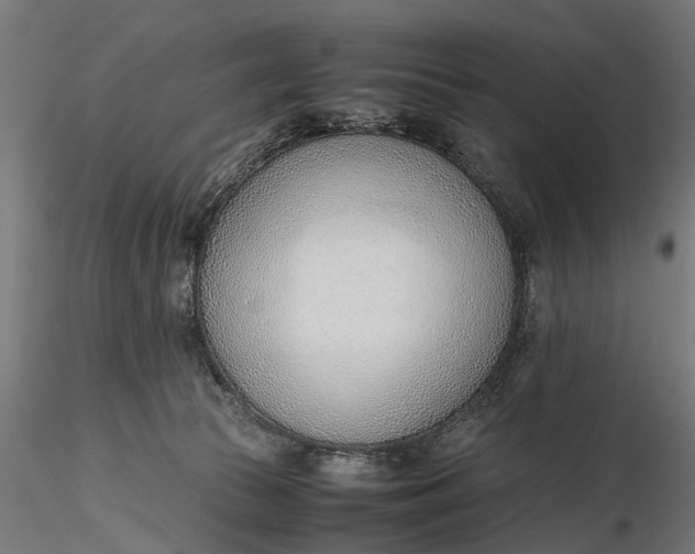 X0000116330177200912151313