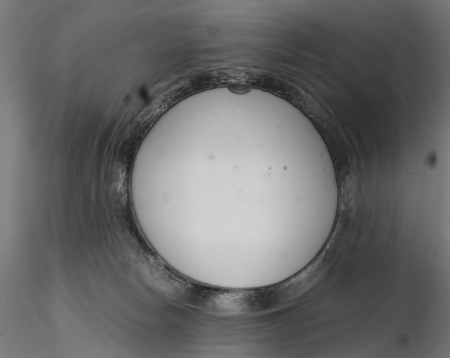 X0000116330178200912151313