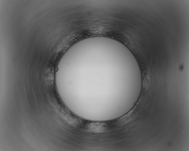 X0000116330179200912151313