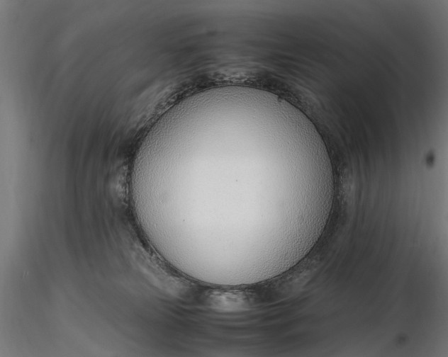 X0000116330181200912151313