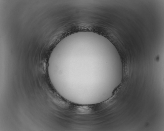 X0000116330183200912151313