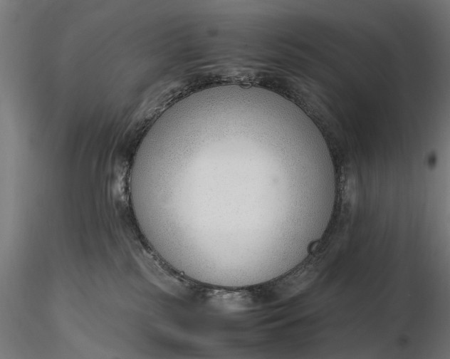 X0000116330185200912151313