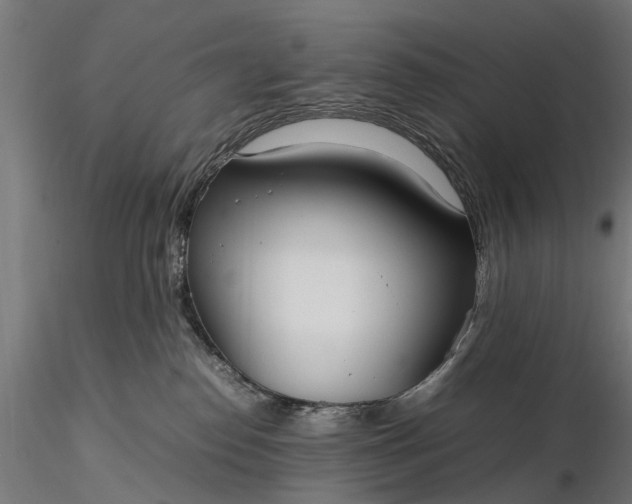 X0000116330186200912151313