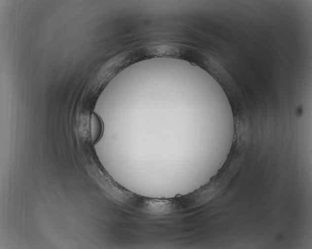 X0000116330189200912151313