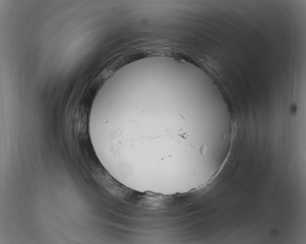 X0000116330190200912151313