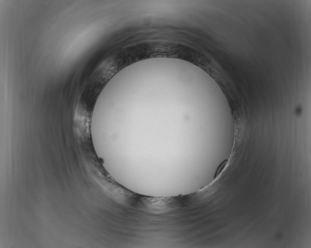 X0000116330191200912151313