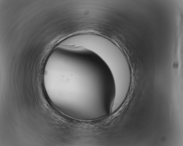 X0000116330193200912151313