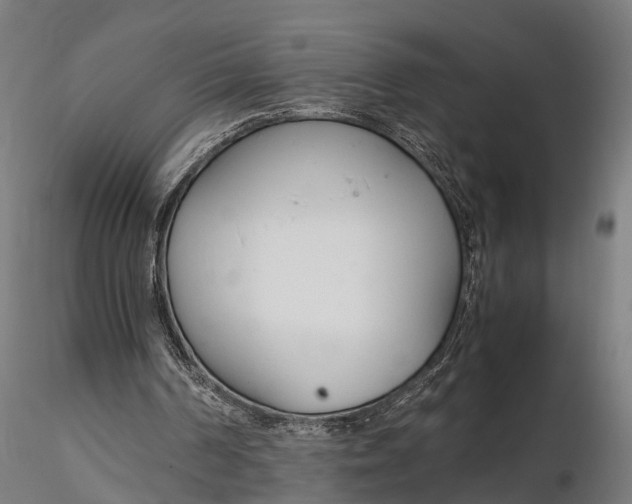 X0000116330194200912151313