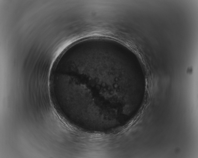 X0000116330196200912151313