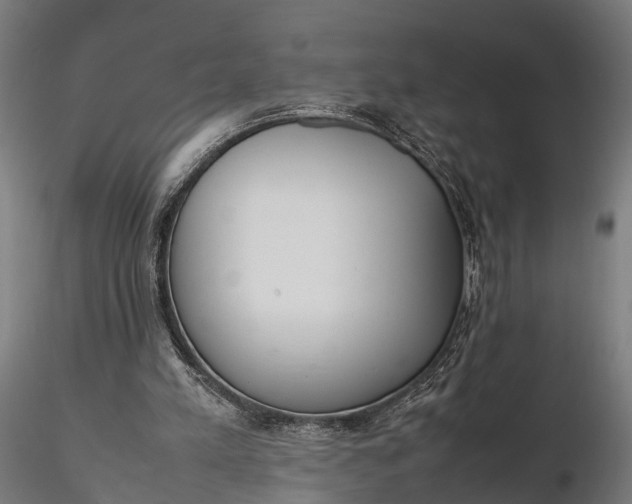 X0000116330197200912151313