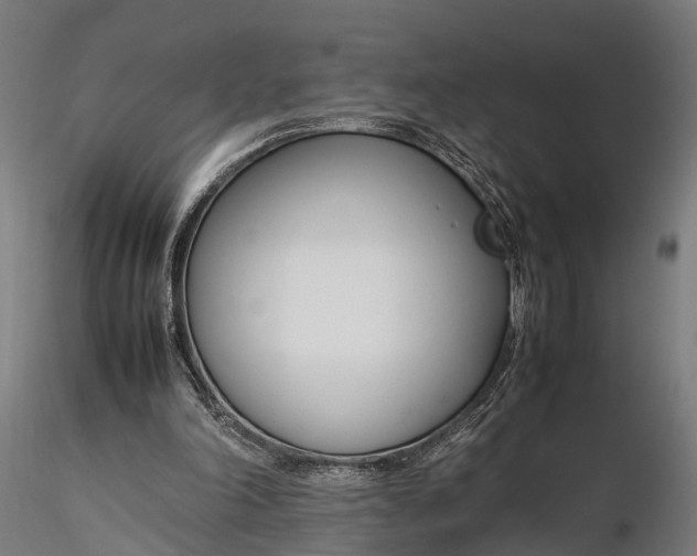 X0000116330198200912151313