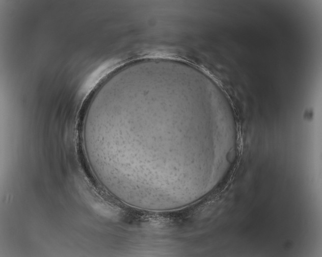 X0000116330199200912151313