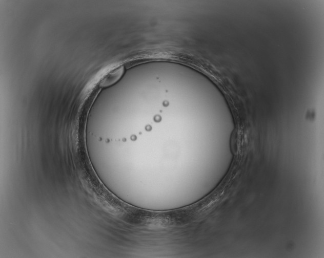 X0000116330200200912151312