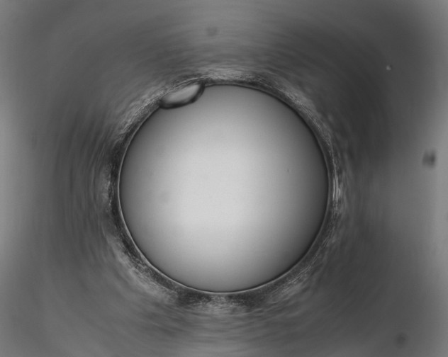 X0000116330201200912151312