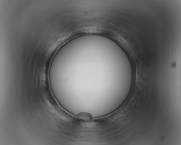 X0000116330202200912151312