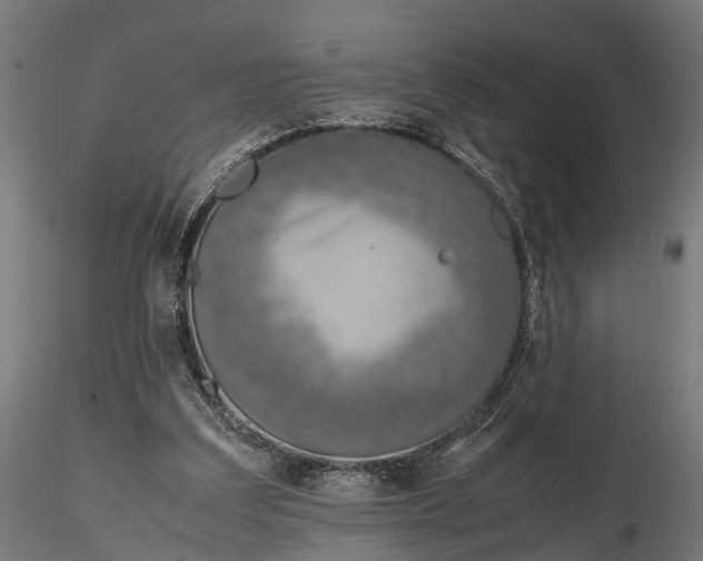 X0000116330203200912151312