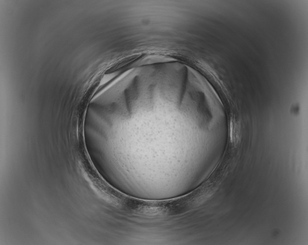 X0000116330205200912151312