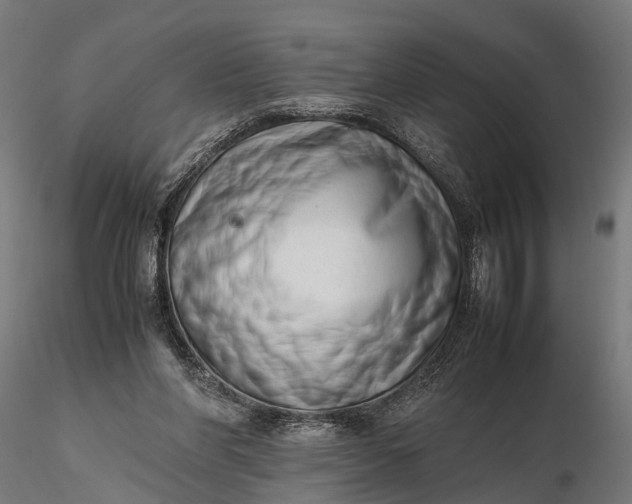 X0000116330206200912151312