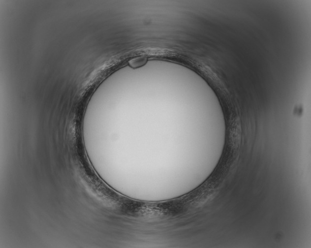 X0000116330207200912151312