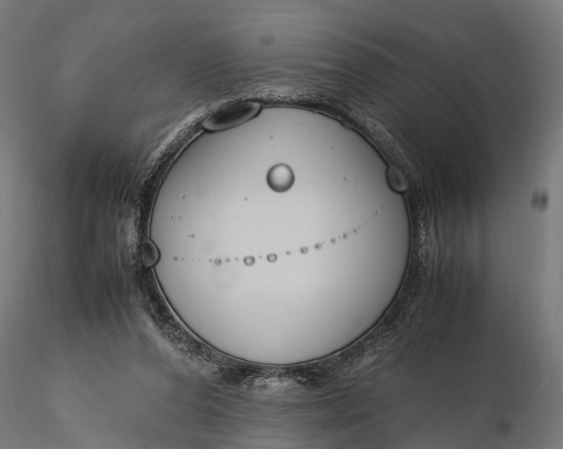 X0000116330208200912151312