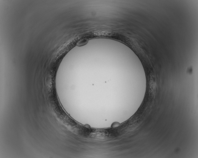 X0000116330211200912151312