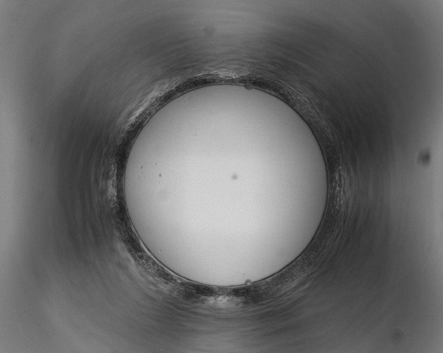 X0000116330212200912151312