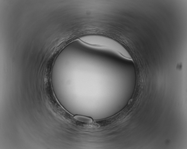 X0000116330215200912151312