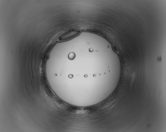 X0000116330216200912151312