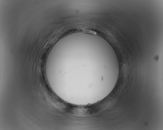 X0000116330217200912151312