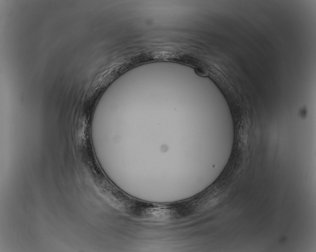 X0000116330219200912151312