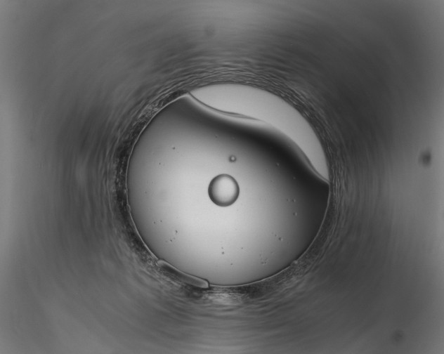 X0000116330221200912151312