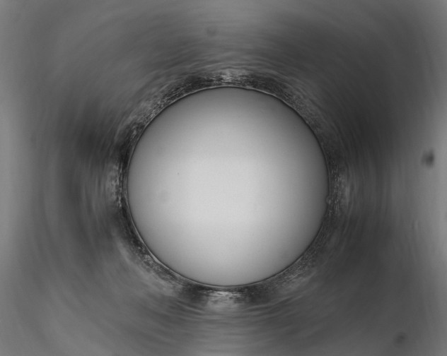 X0000116330222200912151312