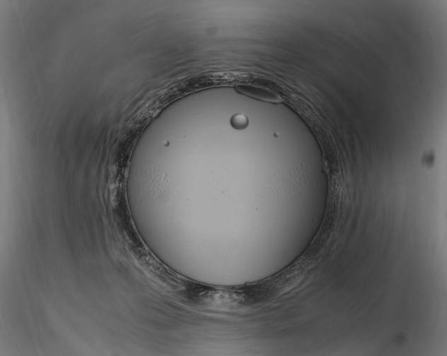 X0000116330223200912151312