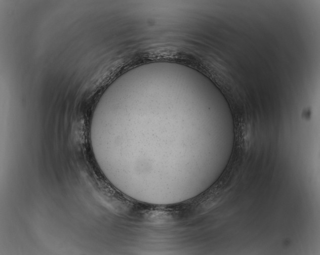 X0000116330224200912151312