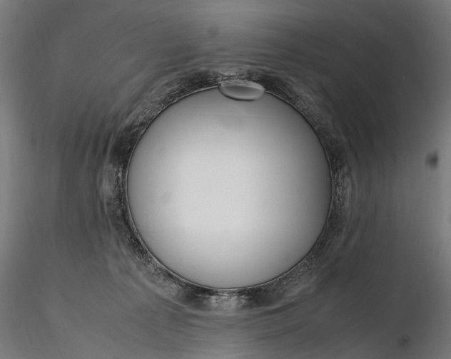 X0000116330225200912151312