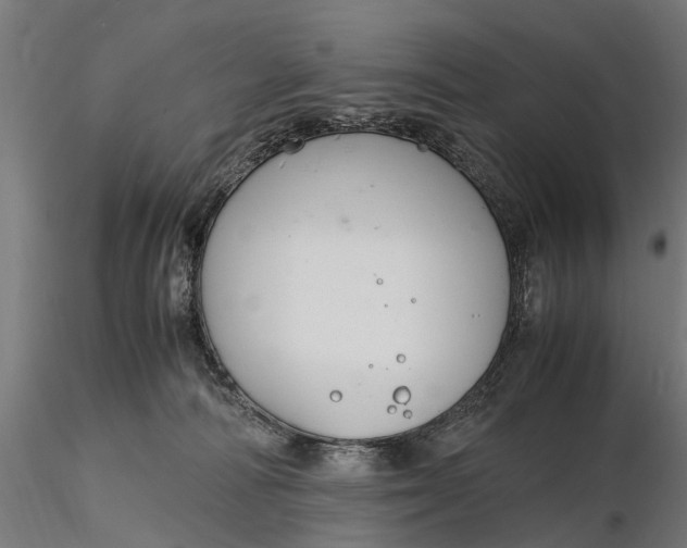 X0000116330226200912151312