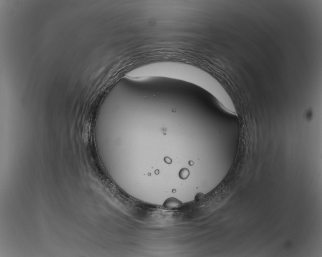 X0000116330227200912151312