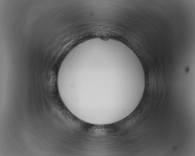 X0000116330228200912151312