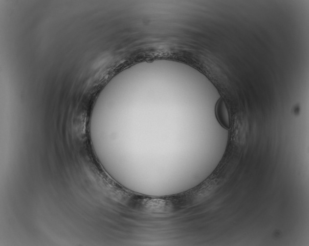 X0000116330230200912151312