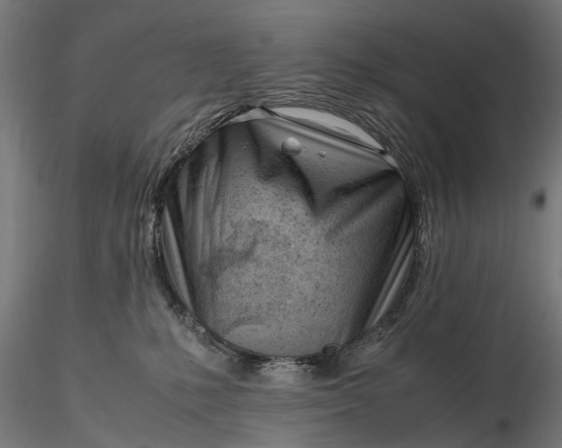 X0000116330231200912151312