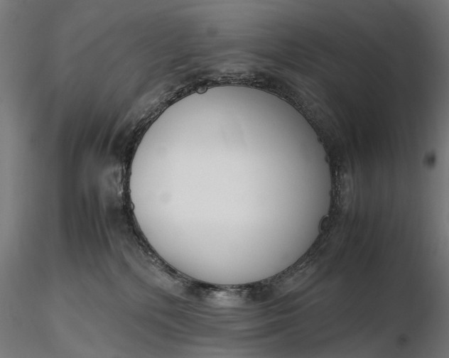 X0000116330232200912151312