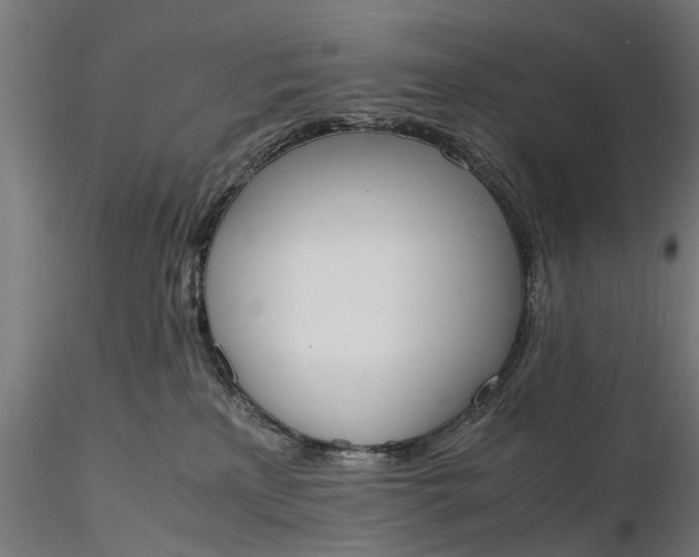 X0000116330233200912151312