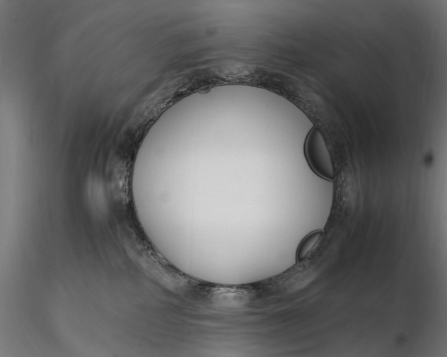 X0000116330234200912151312