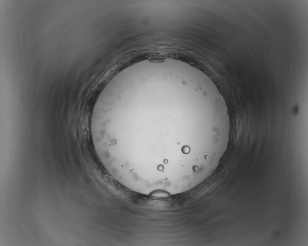 X0000116330236200912151312