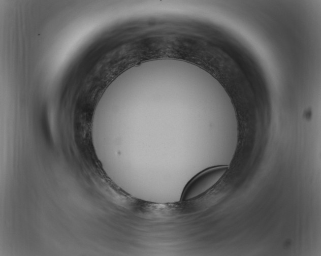 X0000116330239200912151312