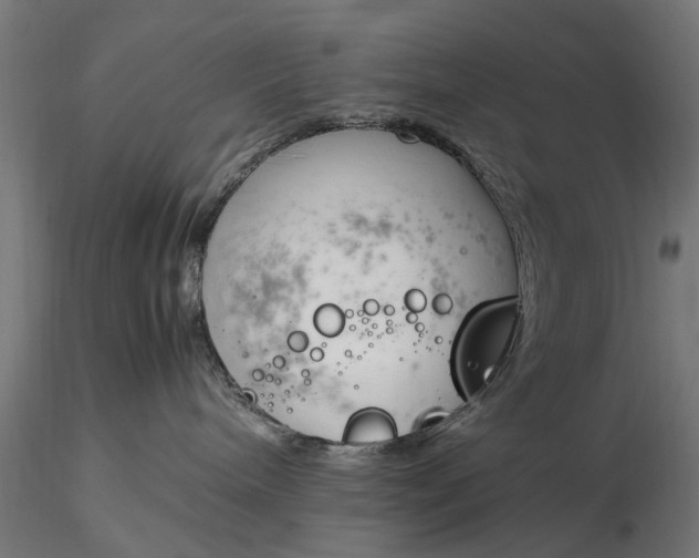 X0000116330240200912151312