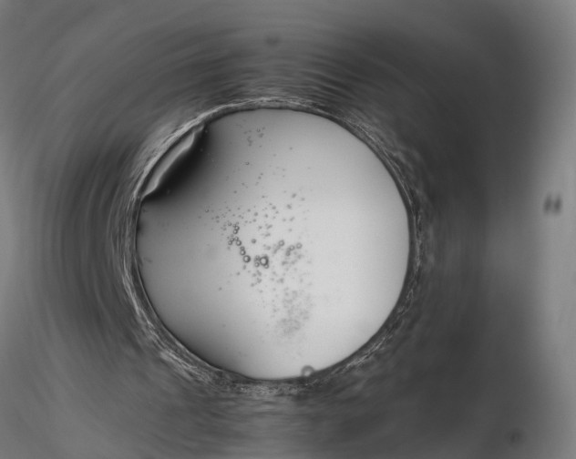 X0000116330241200912151311