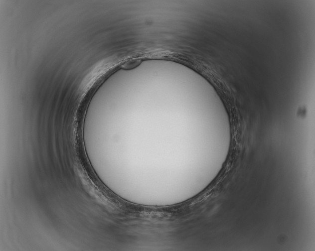 X0000116330242200912151311